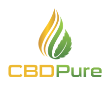 CBDPure Cream